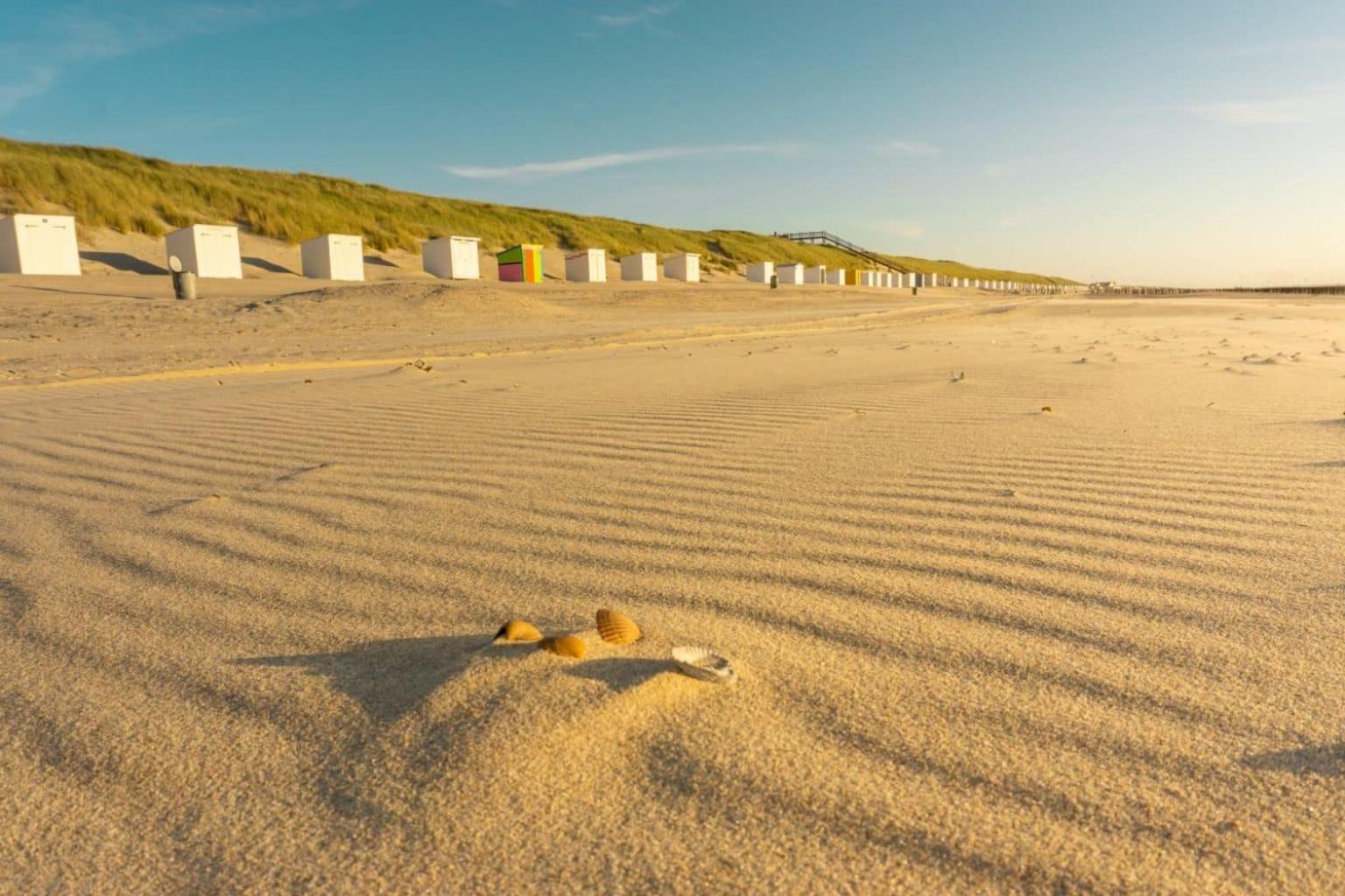 'Relax Lodge Sea' - Wellness Lodge In Zeeland - Private Sauna - Airco - Garden - Outdoor Swimming Pool - Free Wifi, Towels & Bed Linen Heinkenszand Bagian luar foto